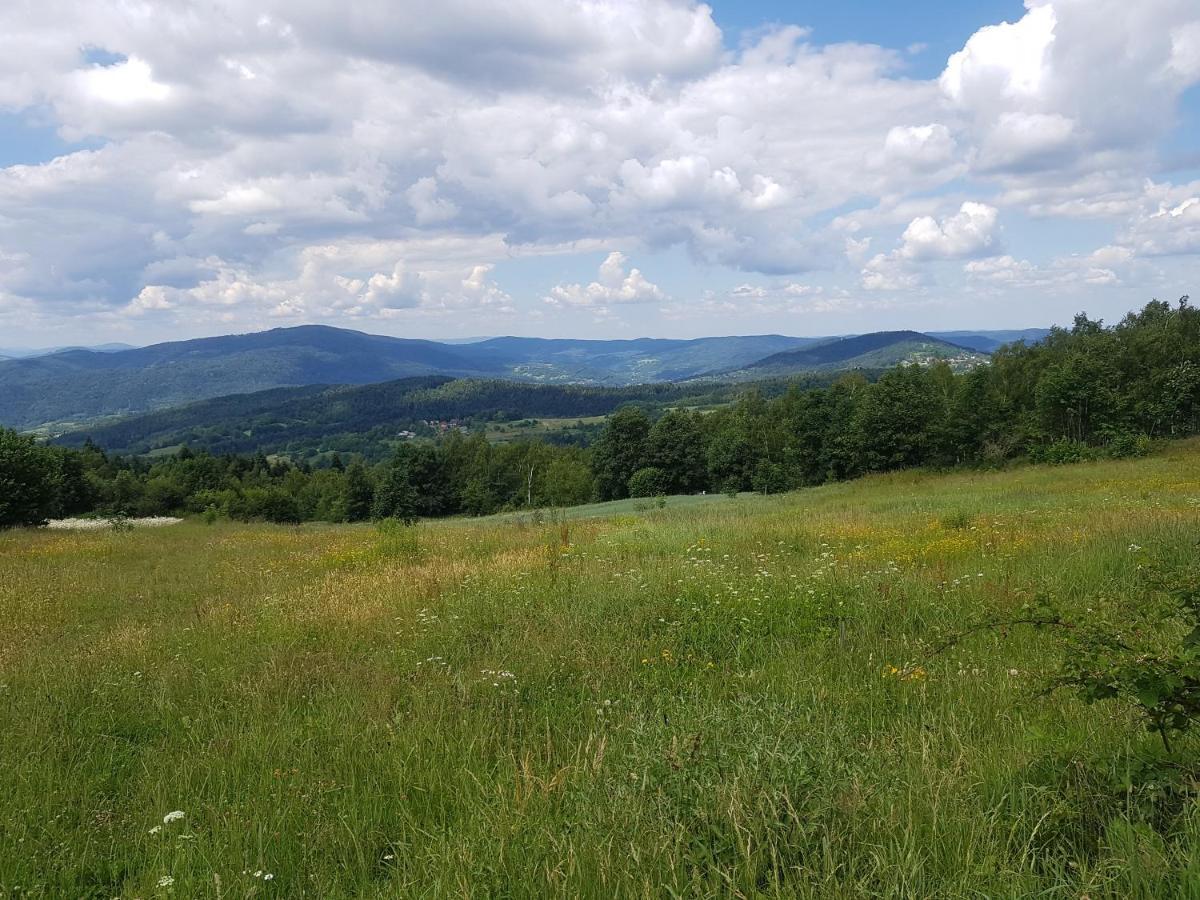 Gniewnik Villa Pcim Bagian luar foto