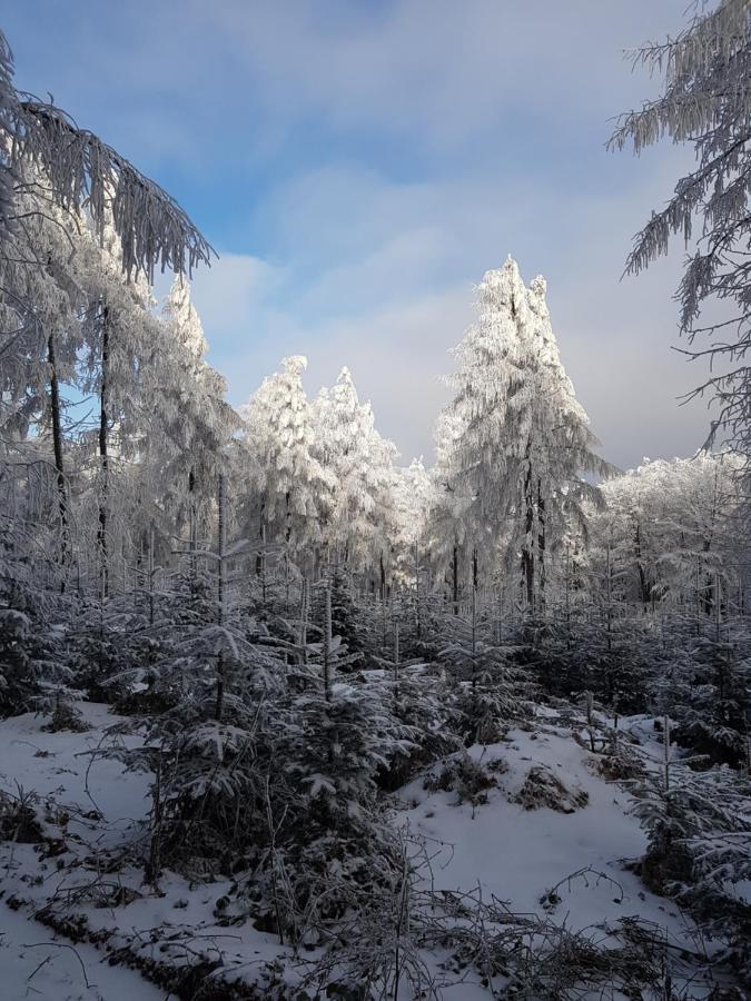 Gniewnik Villa Pcim Bagian luar foto