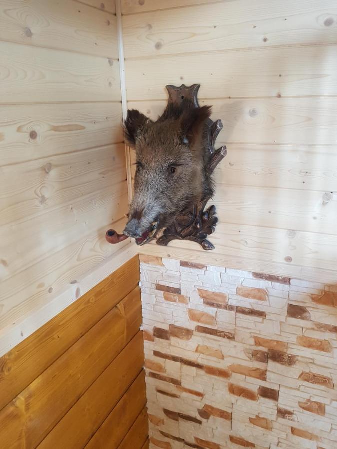 Gniewnik Villa Pcim Bagian luar foto